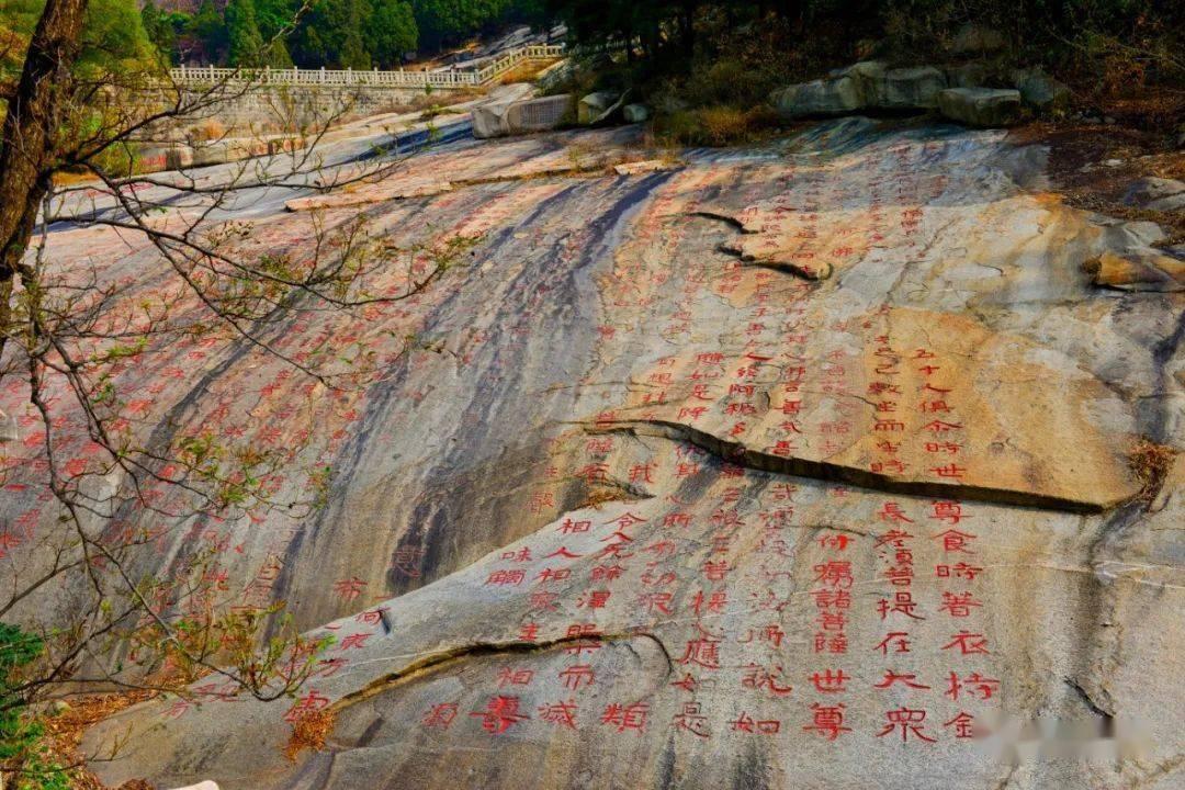 长春农商银行“长囍系列”2024017期封闭式净值型理财产品23日起发行